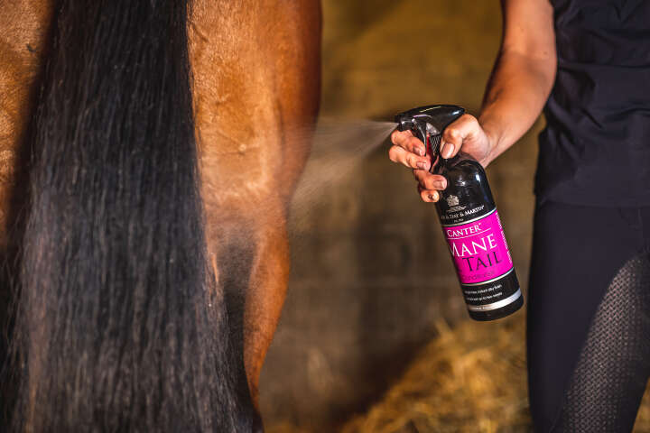 CARR & DAY & MARTIN Canter Mane & Tail Conditioner Spray